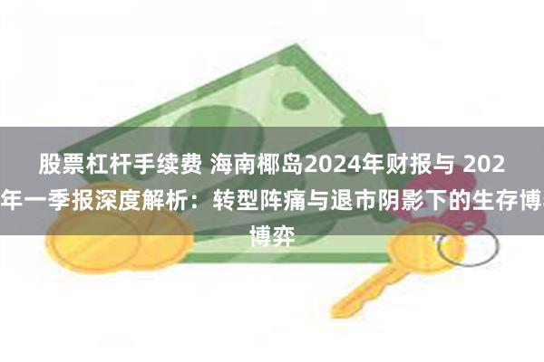 股票杠杆手续费 海南椰岛2024年财报与 2025 年一季报深度解析：转型阵痛与退市阴影下的生存博弈