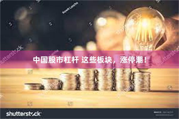 中国股市杠杆 这些板块，涨停潮！