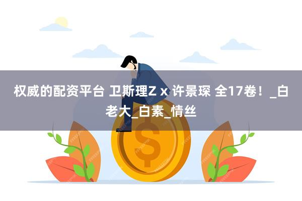 权威的配资平台 卫斯理Z x 许景琛 全17卷！_白老大_白素_情丝