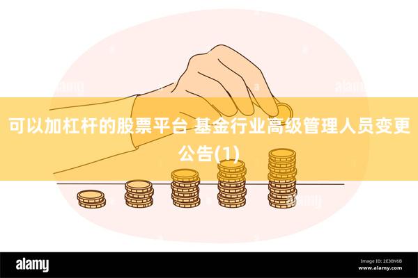 可以加杠杆的股票平台 基金行业高级管理人员变更公告(1)