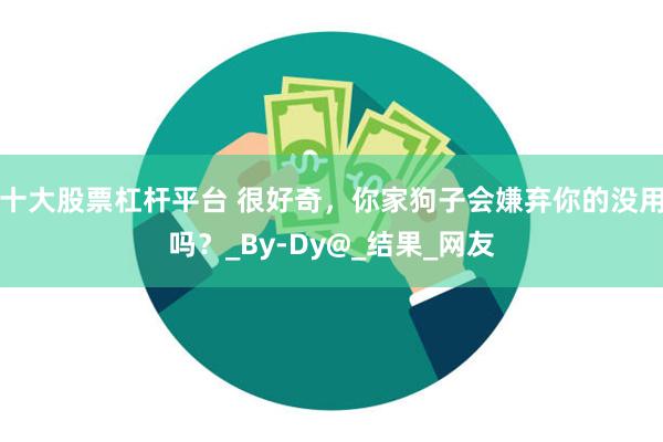 十大股票杠杆平台 很好奇，你家狗子会嫌弃你的没用吗？_By-Dy@_结果_网友