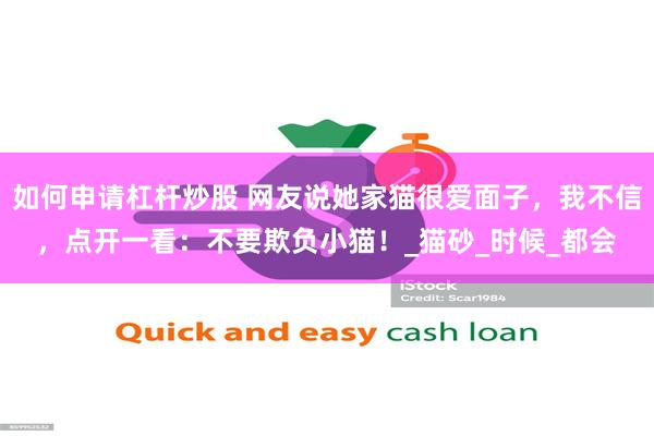 如何申请杠杆炒股 网友说她家猫很爱面子，我不信，点开一看：不要欺负小猫！_猫砂_时候_都会