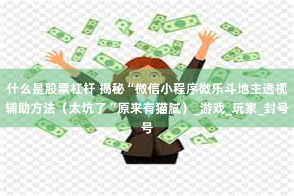 什么是股票杠杆 揭秘“微信小程序微乐斗地主透视辅助方法（太坑了“原来有猫腻）_游戏_玩家_封号