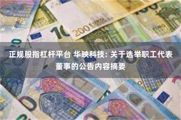 正规股指杠杆平台 华映科技: 关于选举职工代表董事的公告内容摘要