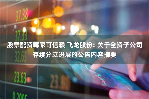 股票配资哪家可信赖 飞龙股份: 关于全资子公司存续分立进展的公告内容摘要