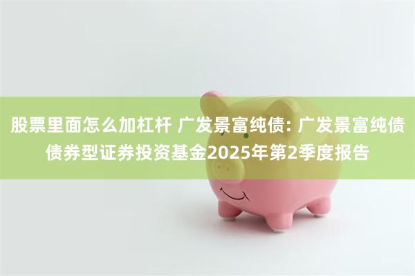 股票里面怎么加杠杆 广发景富纯债: 广发景富纯债债券型证券投资基金2025年第2季度报告