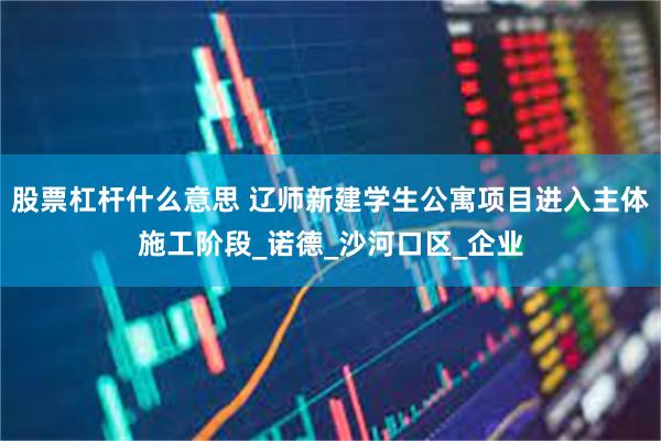 股票杠杆什么意思 辽师新建学生公寓项目进入主体施工阶段_诺德_沙河口区_企业