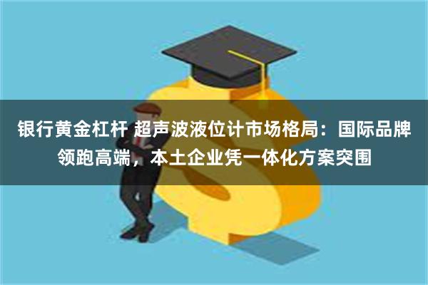 银行黄金杠杆 超声波液位计市场格局：国际品牌领跑高端，本土企业凭一体化方案突围